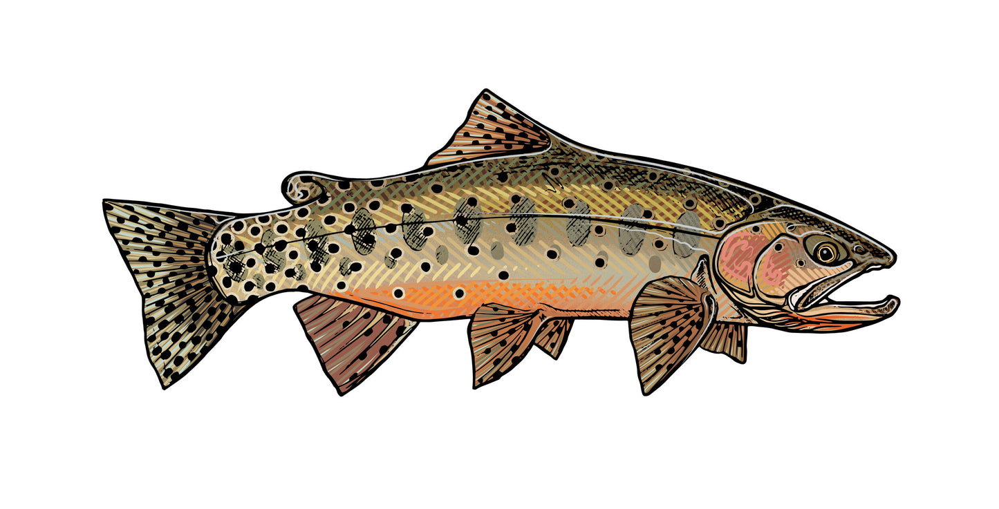 Repyourwater San Juan Cutthroat Hat