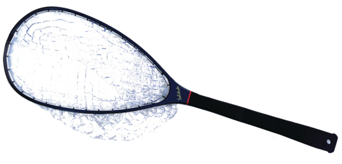 Stream Bank Carbon Net